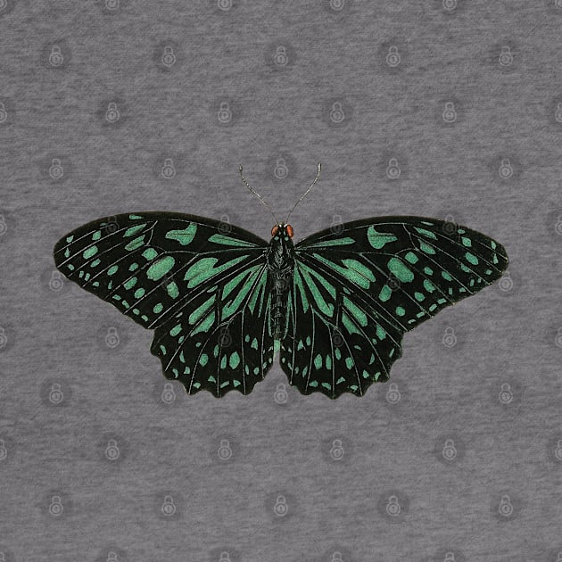 Green Butterfly by Nate's World of Tees